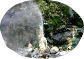 Types and Characteristics of the Hot Springs