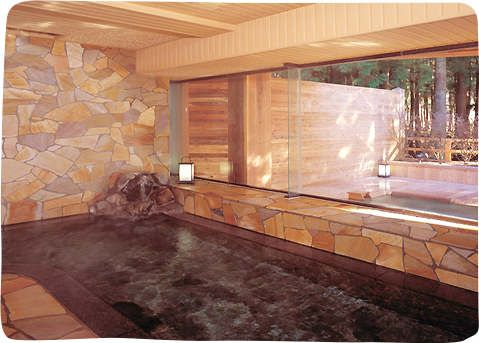 Interior Onsen Bath