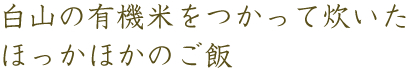 白山の有機米をつかって炊いたほっかほかのご飯